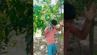 হ্যালো‌ তোর কত বড় সাহস  তোর #viralvideo #viral #new #trendingshorts #mg.jagodish official