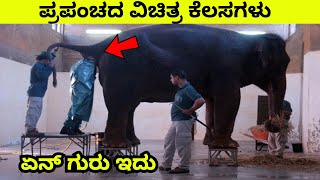 ಪ್ರಪಂಚದ ವಿಚಿತ್ರ ಕೆಲಸಗಳು | six Different jobs | Mysteries For you Kannada