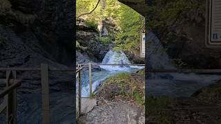 Magnificent Reichenbachfall, Meiringen in Switzerland 🇨🇭 😍 #switzerland #travel