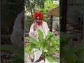 navjot singh sidhu ਸ਼ਤਰੰਜ ਦਾ ਵਜ਼ੀਰ ਜਾ ਇਨਸਾਨ ਦਾ ਜ਼ਮੀਰ trending shorts