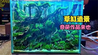 鱼缸造景比赛，又出奇葩作品，裁判该把它除名