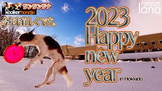 #72 新年2023あけましておめでとうございます　コーイケルホンディエ