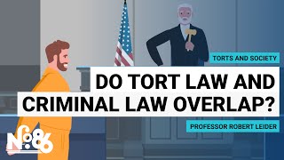 Do Tort Law and Criminal Law Overlap?