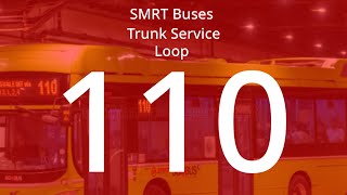 SMRT Trunk Service 110 Route Visual