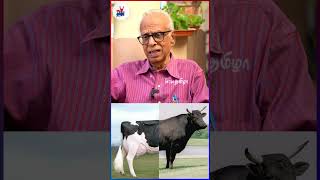 எருமை மூத்திரத்துக்கு சக்தி இல்லையா? - Dr.Kantharaj