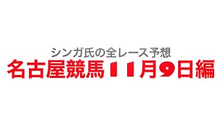 11月9日名古屋競馬【全レース予想】真鯛特別2022