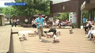 전남 함평군 축산특화농공단지, 투자선도지구 지정