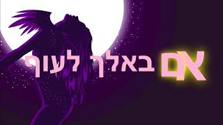 טונה - בסיבוב (עם צליל דנין) מילים