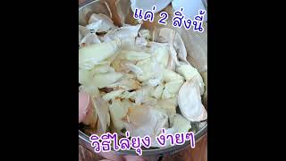 วิธีไล่ยุง กำจัดยุงลาย |แค่เลchannel