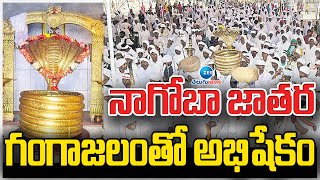 Nagoba Jatara | Tribal Festival | Adilabad | నాగోబా జాతర గంగాజలంతో అభిషేకం | ZEE Telugu News