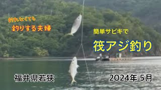 福井県若狭の筏でアジ釣り行ってきました