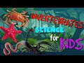 Invertebrates or Animals without Backbone | Science for Kids