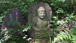 【神社・お寺めぐり】安行「興禅院」　（埼玉）川口市