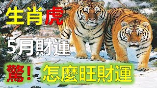 2023年生肖屬虎人的財運在哪方，屬虎人2023年怎麼旺財運？2023屬虎的財位方向與位置，屬虎人2023年財位在哪2023年12生肖運勢，預測十二生肖屬虎人下半年七月運勢如何，生肖屬相跟屬虎人犯沖