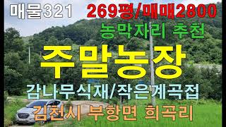 저렴한 시골땅,감나무밭,269평,매매2800만원,주말농장 농막자리로 최적지,김천시 부항면 희곡리