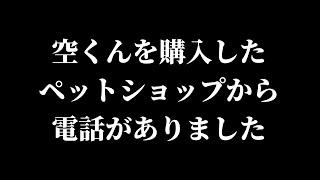 空くんを購入したペットショップから電話がありました