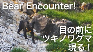 【田舎暮らし】ツキノワグマと遭遇！秋田の山で熊とすれ違った！【秋田県】