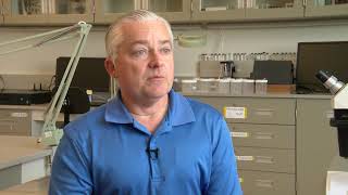 San Diego County Vector Control Warns About Mosquitos