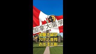 2025年2月加拿大留学为什么推荐选择读本科