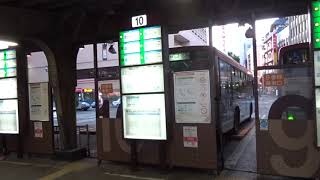 新潟駅・万代口バスターミナルの風景