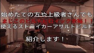 ［ディビジョン2:Division2］ヒロイック余裕！ストライカーアサルトビルド！！