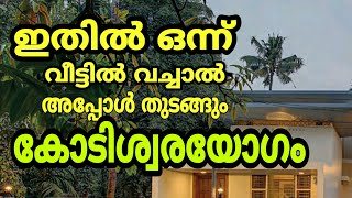 ഇതിലൊന്ന് വീട്ടിൽ ഈ സ്ഥാനത്ത് വെച്ചാൽ കോടീശ്വര യോഗം തെളിയും| Malayalam astrology | Jyothisham