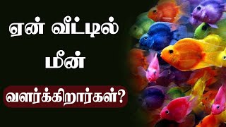 ஏன் வீட்டில் மீன் வளர்க்கிறார்கள்? | Lanka4news