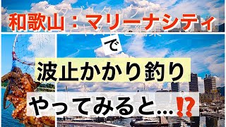 和歌山：マリーナシティで、波止かかり釣りをした結果…⁉️