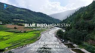 Best Riverside Luxury HomeStay in Sangti Valley | Blue bird Homestay