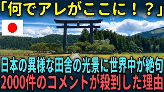 【海外の反応】「日本はどうなってるんだ！！」日本の異様な田舎の光景に世界中からコメントが殺到した理由