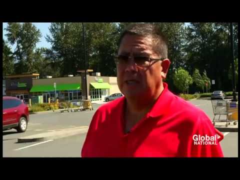 What is a First Nation Chief?