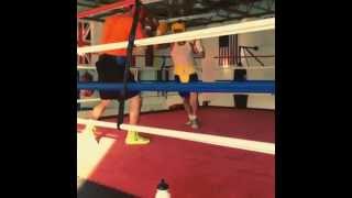 lomachenko sparring Instagram.mp4