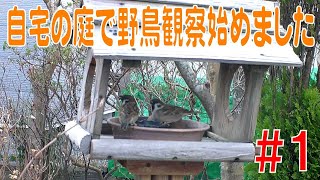 自宅の庭で野鳥観察始めました！【初日】