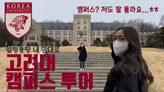 21학번의 얼렁뚱땅 아는 만큼만 소개하는 고려대학교 캠퍼스 투어🐯with 갈갈이들🌾🌾드가은