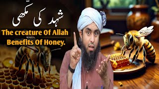 🔥Shehad Ki Makhi in the Qur'an | شہد کی مکّھی | Benefits Of Honey | Engineer Muhammad Ali Mirza