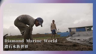 2023台北電影節｜台北電影獎：紀錄片｜鑽石水族世界 Diamond Marine World