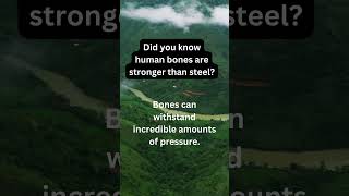 Did You Know? Human Bones Are Stronger Than Steel!