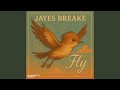 Fly