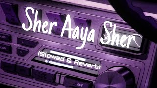Aaya Sher Aaya (Slowed & Reverb) | Gully Boy