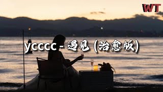 ycccc - 遇见 治愈版『我听见风来自地铁和人海，我排著队拿著爱的号码牌。』【动态歌词MV】