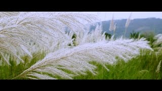 ente gramam എന്റെഗ്രാമം malayalam music video/ kavitha