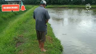 UKABI FARMING IN MANIPUR || FISH FARMING LIFE || Top Khabi Mamang Leikai Imphal West