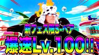 最高の神引きw新フェス限セラフィムS -ベアを爆速でLv.100に‼️使用感的にはおもろそうw【バウンティラッシュ】