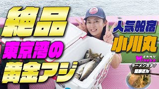 今回はアジ釣り！ 絶品！東京湾の黄金アジを釣っちゃお～大津港小川丸さんでアジ釣り～人気船宿小川丸さんでの黄金アジです 初心者でもお子さんでも誰でも釣れる東京湾のアジ釣りです　今回はビシで狙う黄金アジ