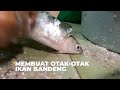 Membuat Otak-Otak Ikan Bandeng | SI BOLANG (18/03/23)