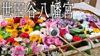 世田谷区めぐり【世田谷八幡宮】2023.5.東京都世田谷区宮坂