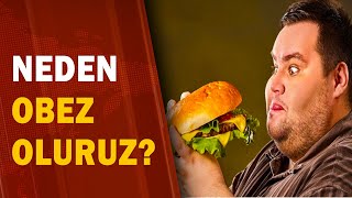 Neden Obez Oluyoruz? Hızlı ve Sağlıklı Kilo Vermenin İpuçları! / A Haber | A Haber