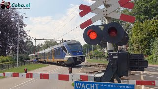 Spoorwegovergang Wierden 😍4K😍 // Dutch railroad crossing