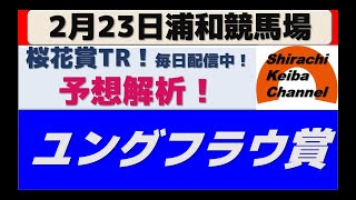 【競馬予想】ユングフラウ賞2021年2月23日 浦和競馬場