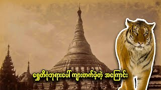 ရွှေတိဂုံဘုရားပေါ် ကျားတက်ခဲ့တဲ့ အ‌ကြောင်း